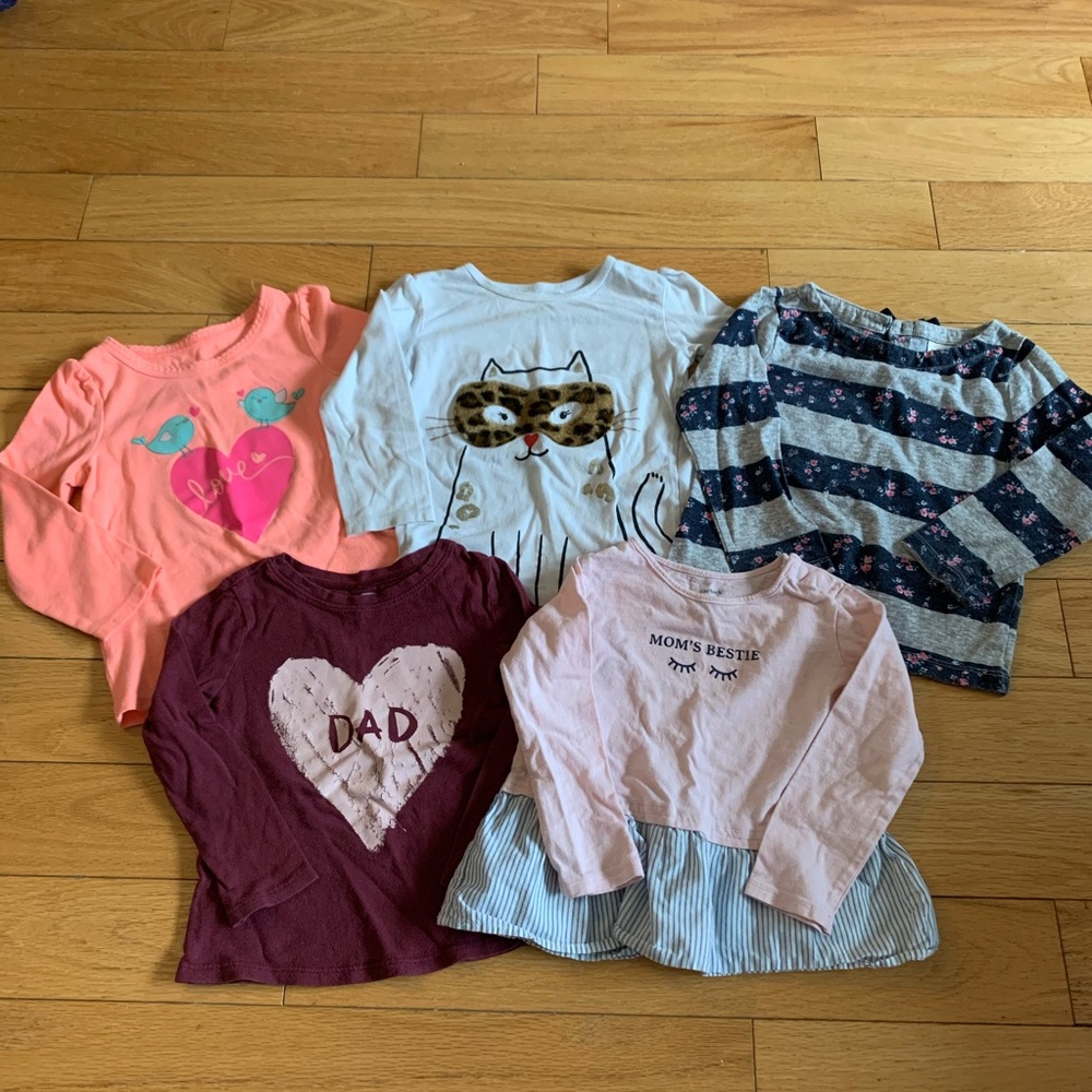 Girls 2T long sleeve bundle.